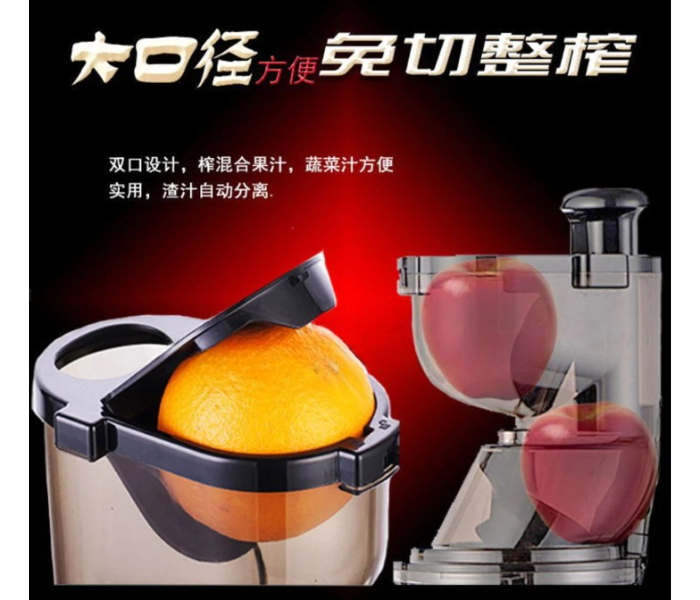 Galaxy Ocean Cold Press Luxury Vertical Masticating Juicer Machine Dual Filter Net system Squeeze - Red - Zoom Image 5