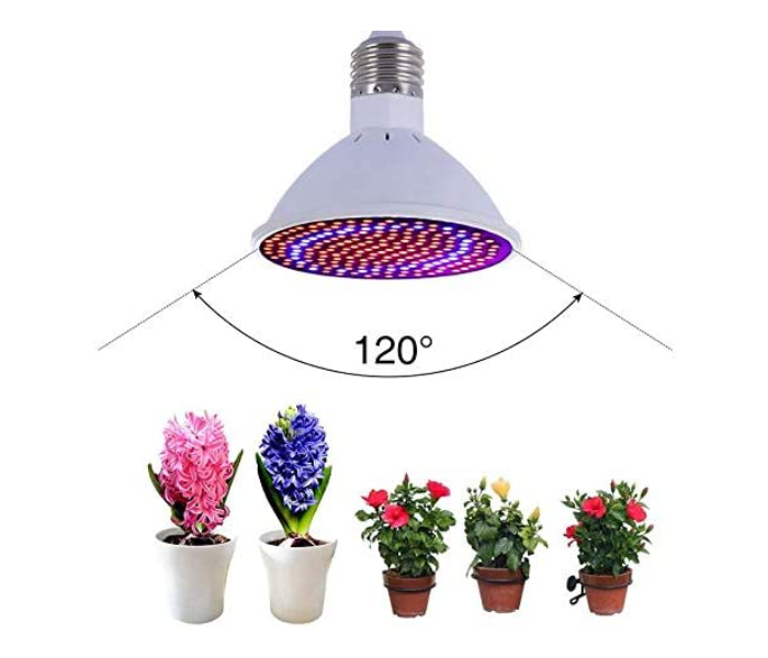 Galaxy Full Spectrum 200 LED Plant Lamp Hydroponic Grow Light Bulbs - Zoom Image 5