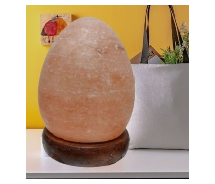 Techno Egg Shaped Himalayan Salt Lamp With Usb Cable - Zoom Image 2