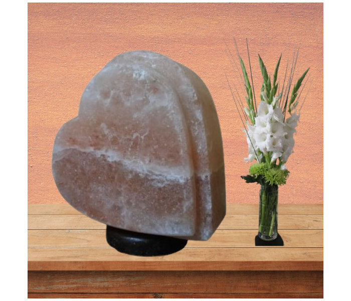 Techno Himalayan Double Heart Shape Salt Lamp - Zoom Image 3