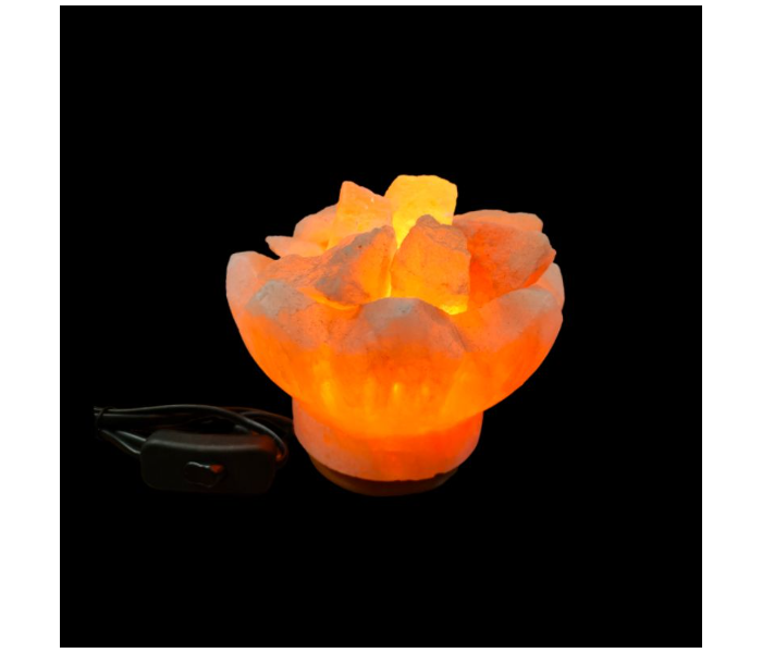 Techno Himalayan Fire Bowl Shaped Salt Lamp With Salt Chunks - Zoom Image 3