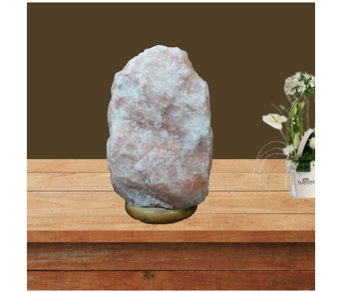 Techno Small Natural Finished Salt Lamp with Wooden Base and Electrical - Zoom Image 1