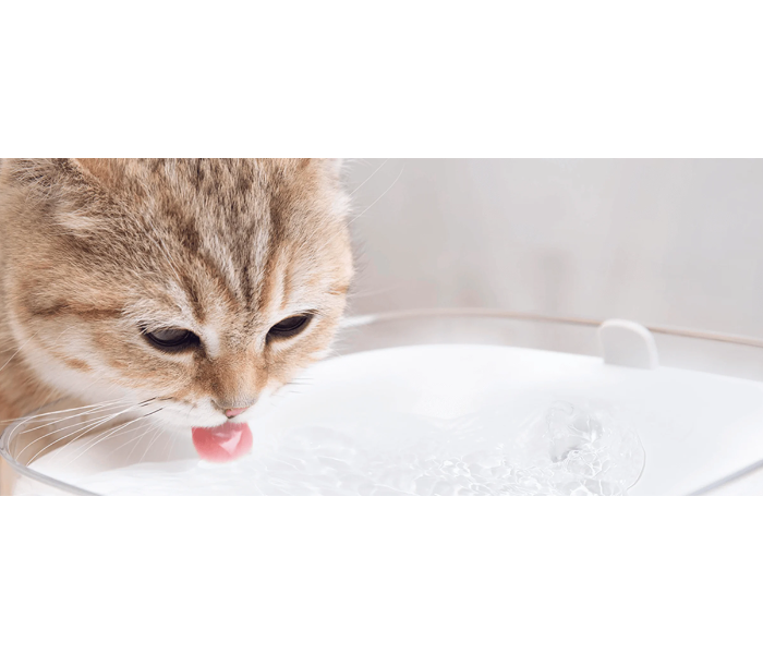 Xiaomi Mi Smart Pet Fountain - White - Zoom Image 2