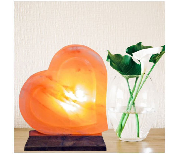 Techno Himalayan Double Heart Shape Salt Lamp - Zoom Image 1