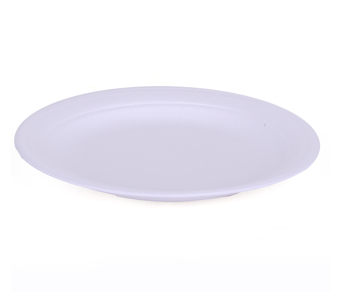 Hotpack Disposable White Round Foam Plate 10 inch ,25 Pieces