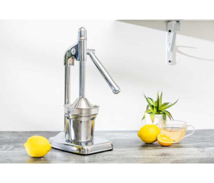 Delcasa DC2144 Stainless Steel Hand Juicer - Silver - Zoom Image 2