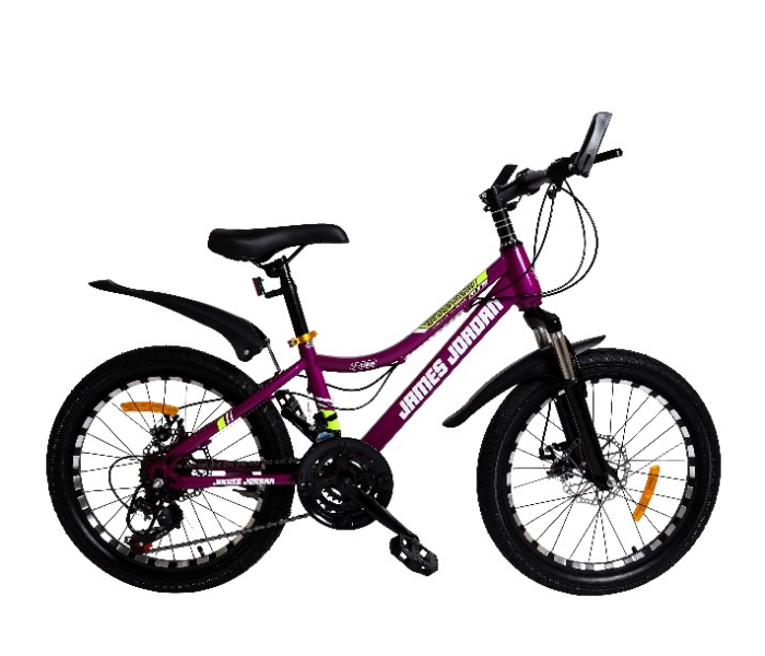 James Jordan JDN1083 20 Inch Bicycle - Violet - Zoom Image