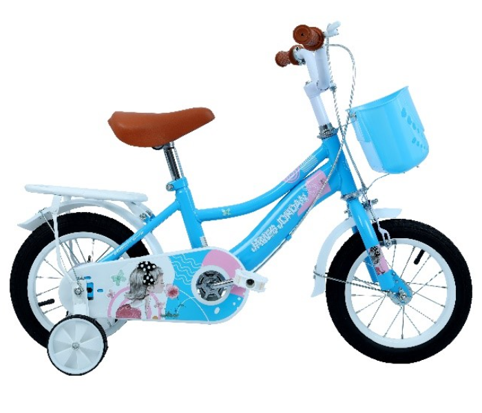 James Jordan JDN1053 20 Inch Bicycle - Blue and White - Zoom Image