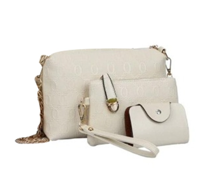 Ladies Luxury Bag 3 Pieces Set DDSK JA065 - White - Zoom Image