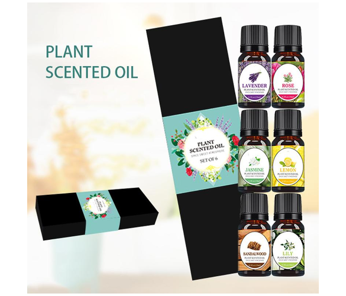 Aromatherapy 10ml Plant Scented Essential Oil Set Box for Skin - Zoom Image 2