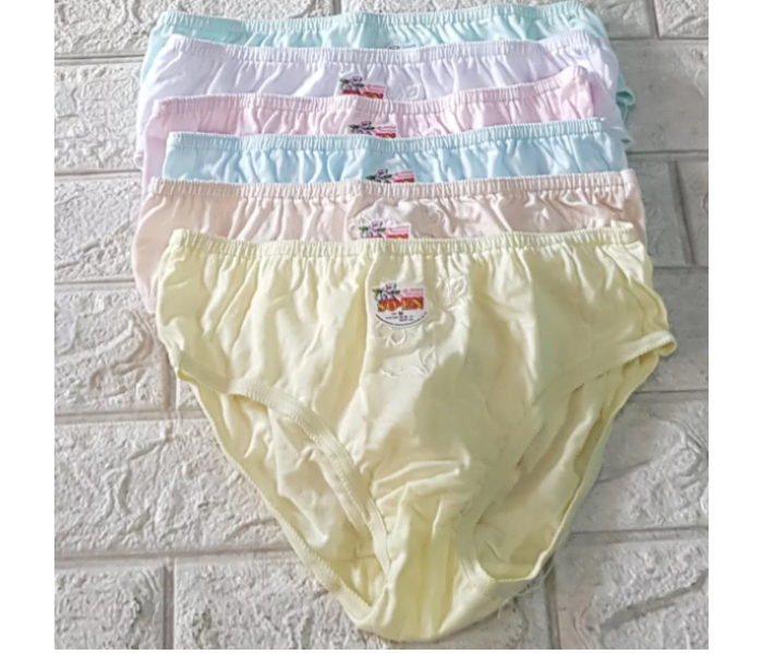 4 Pcs Women's See Through Mixed Briefs()