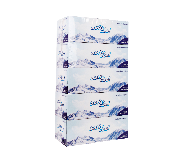 Hotpack SNCT100 Soft N Cool 100Pulls 2Ply 5Box Facial Tissue - Zoom Image 3