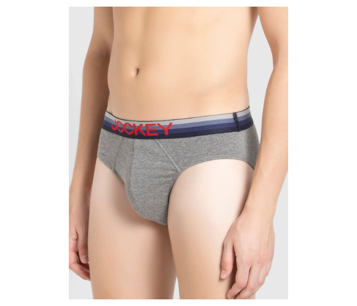 Jockey US07 Briefs with Exposed Waistband for Men Large - Grey - Zoom Image 2