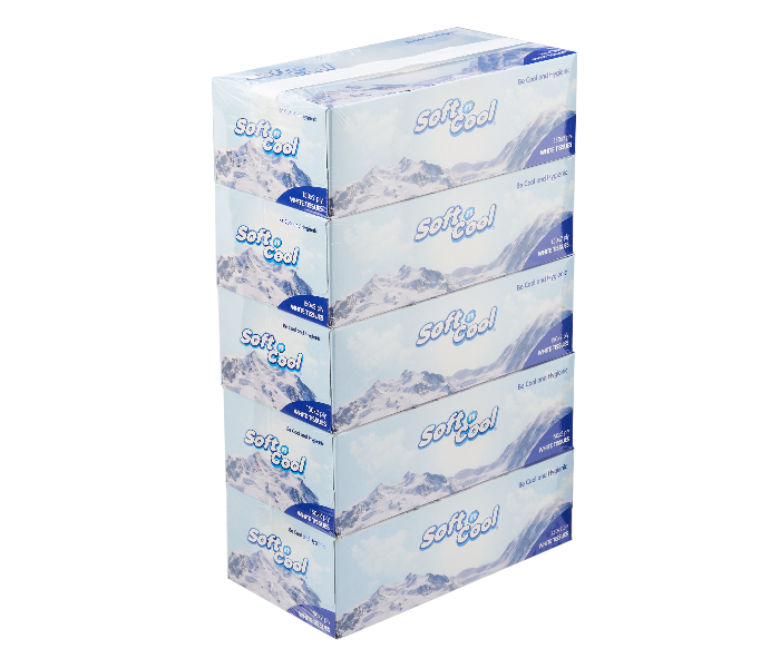 Hotpack SNCT150 Soft N Cool 150Pulls 2Ply 5Box Facial Tissue - Zoom Image 1