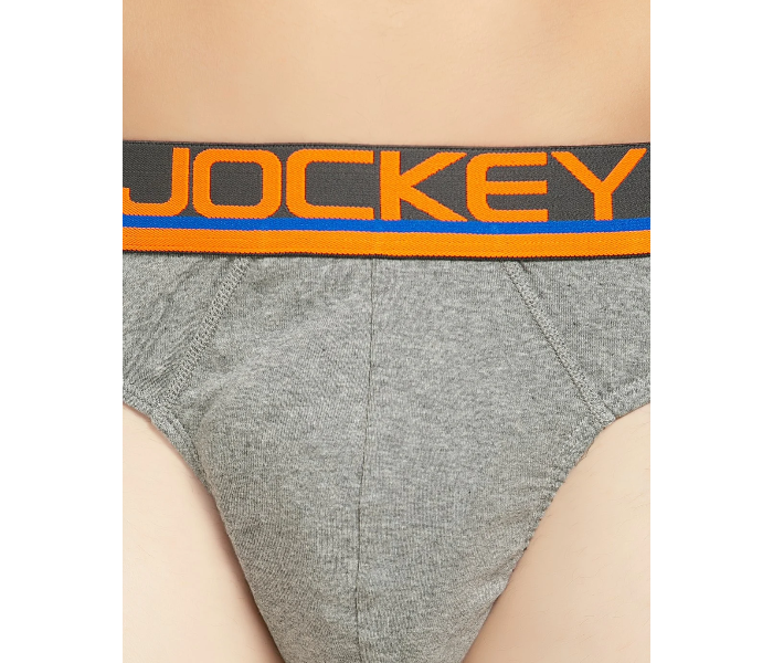 Jockey Mens Modern Brief Underwear, Color: Grey, Size: XL price in UAE,  UAE