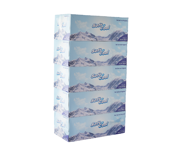 Hotpack SNCT200 Soft N Cool 200Pulls 2Ply 5Box Facial Tissue - Zoom Image 1