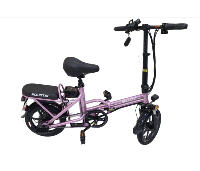 Irenda T8 Powerful 800Watts Electrical Scooter Delivery Express -Black - Zoom Image 1