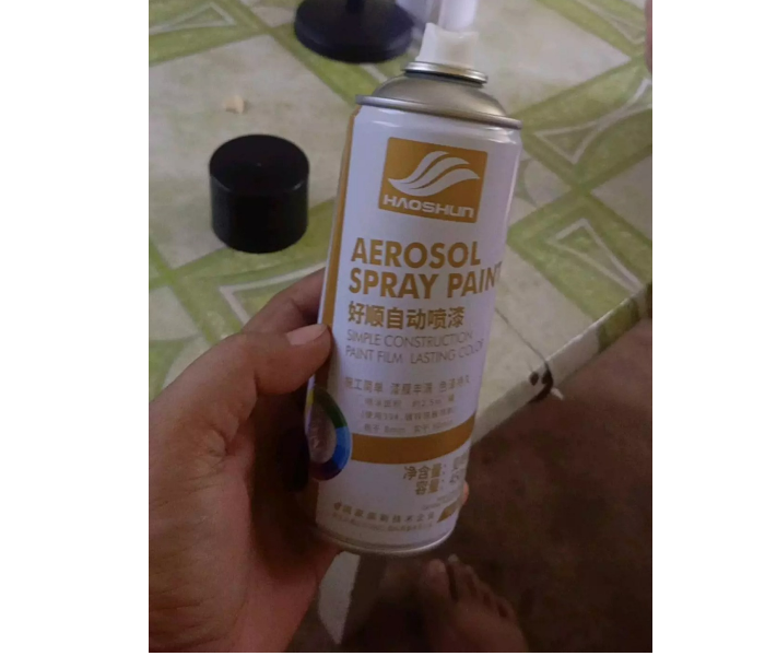 HAOSHUN High Quality Aerosol Spray Paint High Temperature 450ML - Black - Zoom Image 8