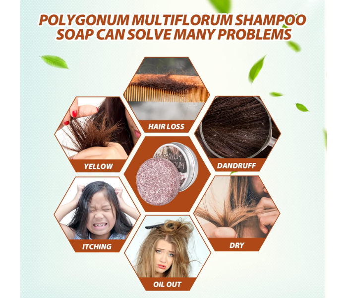 Polygnum Hair Regrowth Shampoo Bar ,Anti Hair Loss, Natural Organic Hair Darkening Shampoo Bar, Promotes Hair Growth - Zoom Image 5