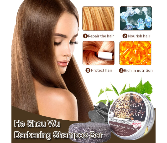 Polygnum Hair Regrowth Shampoo Bar ,Anti Hair Loss, Natural Organic Hair Darkening Shampoo Bar, Promotes Hair Growth - Zoom Image 2