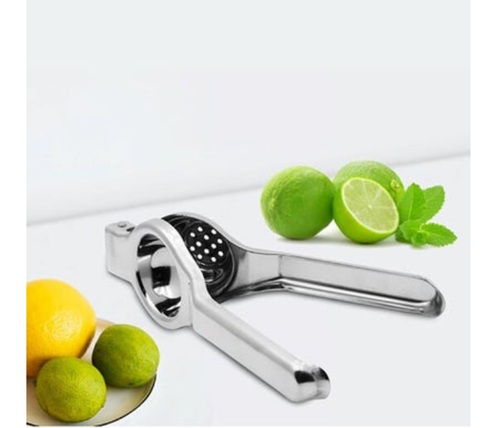 ACTIONWARE Lemon Squeezer - Zoom Image