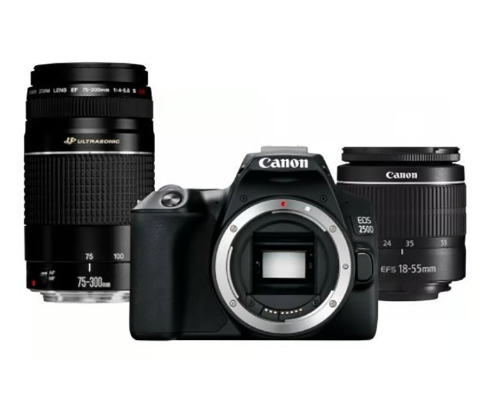 Canon EOS 250D EF-S Double Lens 18-55mm and 75-300mm f/3.5-5.6 III Lens - Black - Zoom Image 1