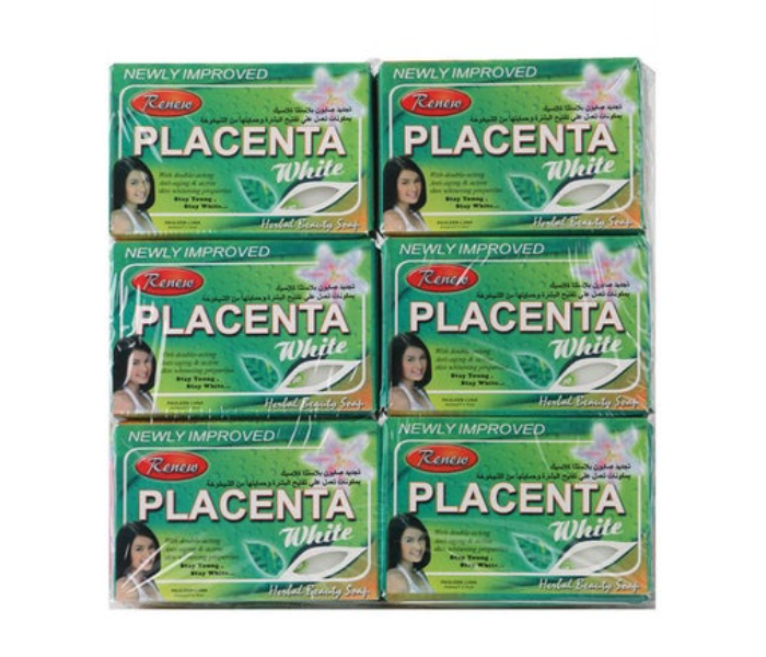 Renew 6-Piece Placenta Herbal Beauty Soap - Zoom Image