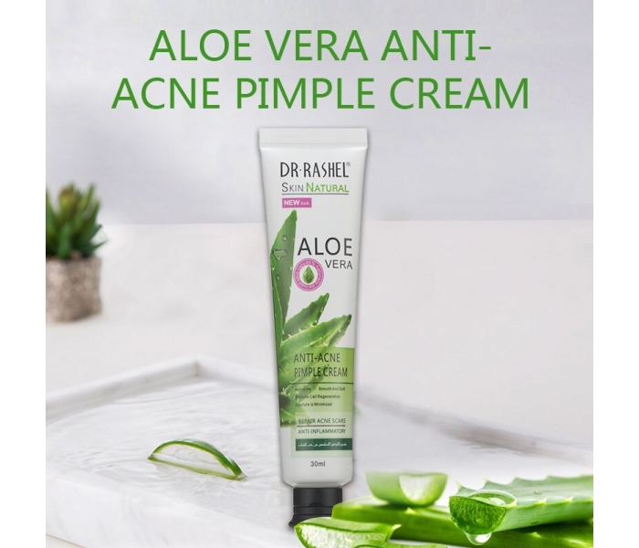 Dr.Rashel Aloe Vera Skin Natural Anti Acne Pimple Cream 30g - Zoom Image 2