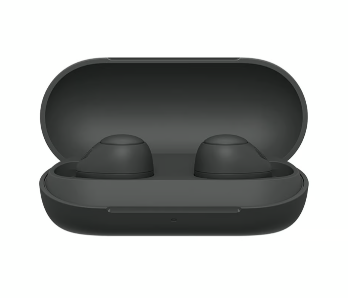 Sony WF-C700 True Wireless Noise Cancelling Earbuds - Black - Zoom Image 3