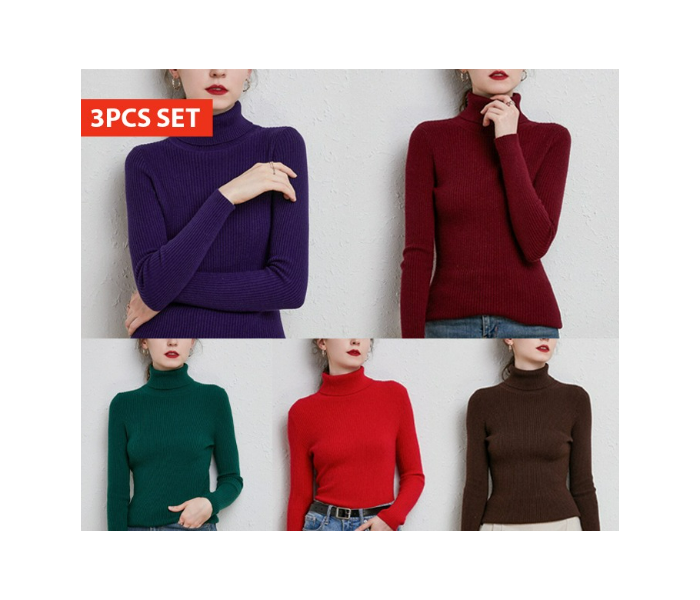 Bundle 3 PCs Set 6611 Autumn Turtle Neck Image