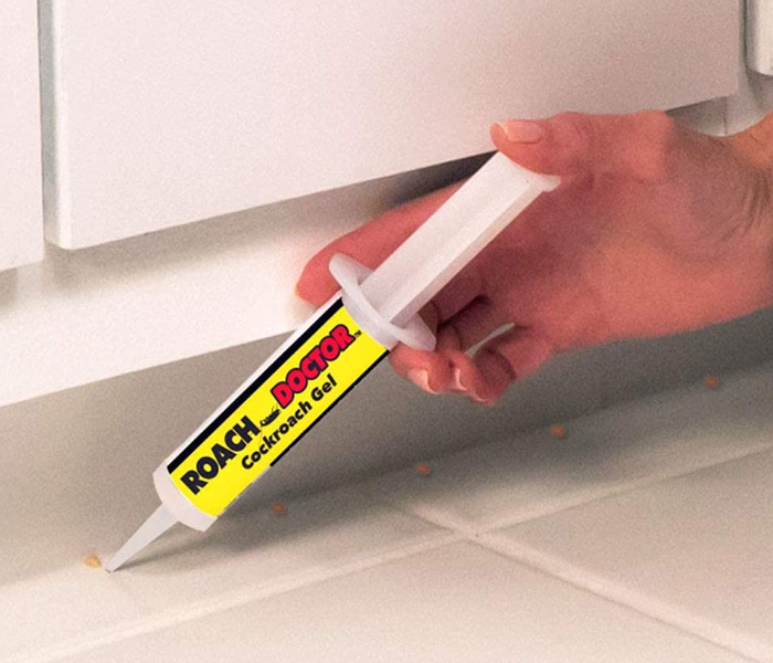 Roach Expert Doctor Cockroach Killing Gel 30G in UAE
