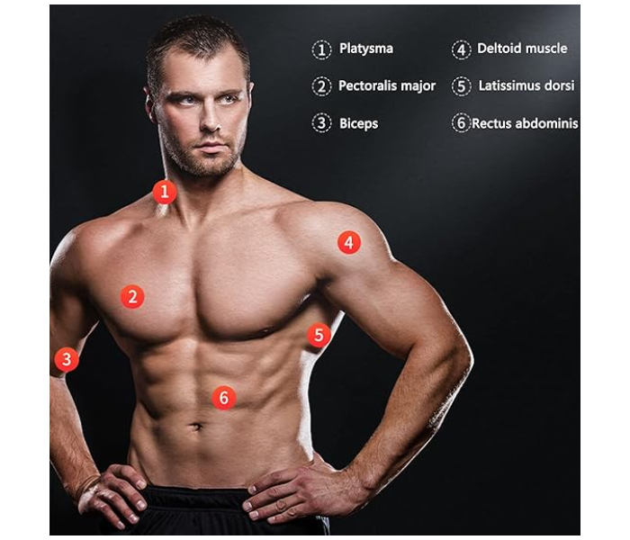 Shapelocker Power Twister, Arm Exercises Chest Expander with Adjustable Resistance for Chest, Biceps, Shoulder and Arm Strength Training in UAE