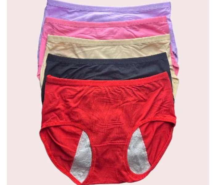 Comfort Reusable Menstrual Period Proof Underwear Women Absorbent Image