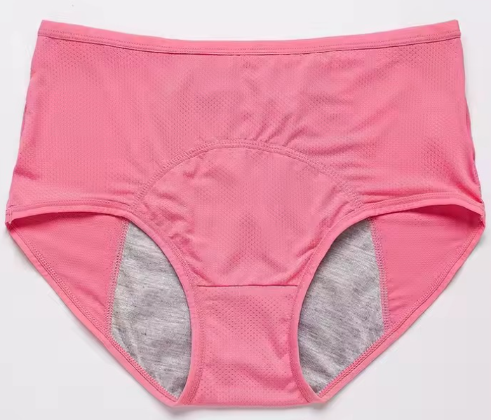 Comfort Reusable Menstrual Period Proof Underwear Women Absorbent Image