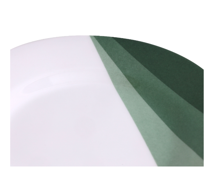 Delcasa DC3419 8 Inch Melamineware Flat Plate - White And Green in UAE