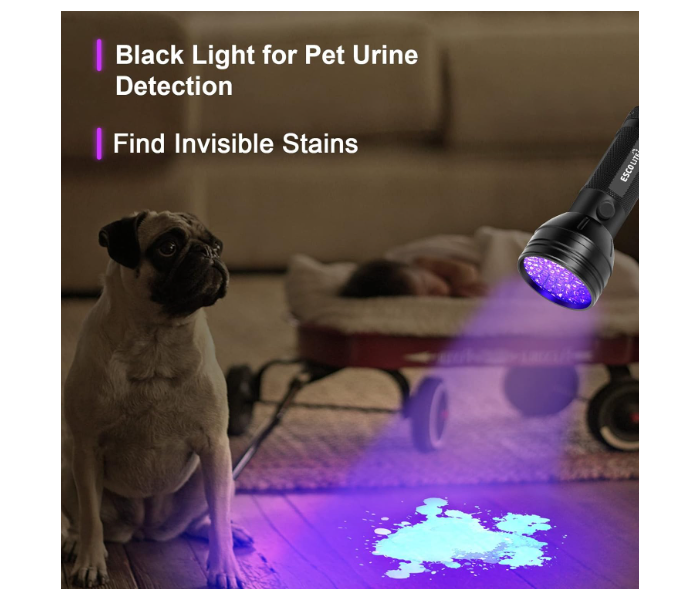 Libro UV Flashlight, 51 LED UV Blacklight, 395 Color UV Flashlight, Blacklight Detector for Pet Urine, Stains, and Bed Bug in KSA