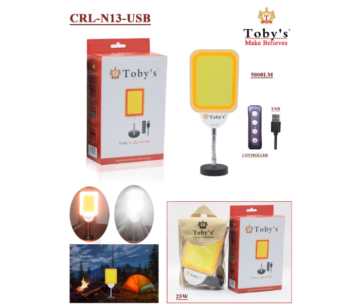 Toby’s CRL N13 Multi-Functional Car Repair Light 12V/24V with USB Controller in UAE