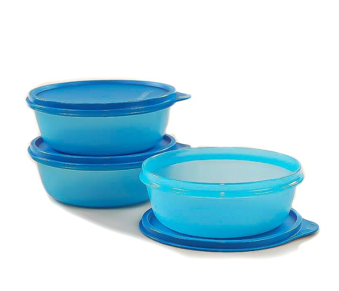 Tupperware SS Bowl 1.5L, Aqua Blue - Airtight & Leak-Proof Food Container in UAE
