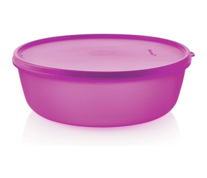 Tupperware SS Bowls (600 ml, Set of 2) Multi-colour - Airtight & Stackable Food Storage in UAE