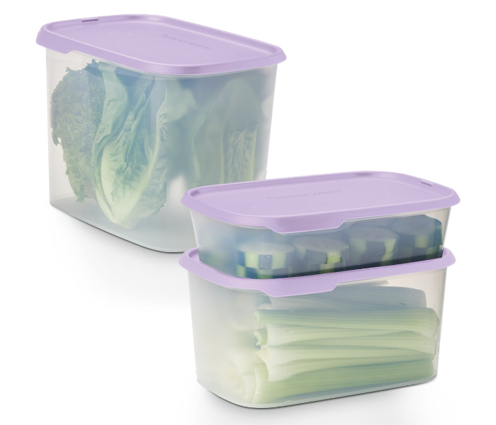 Tupperware One Touch Fresh Rectangular Food Storage Container, 2.8L Capacity in UAE