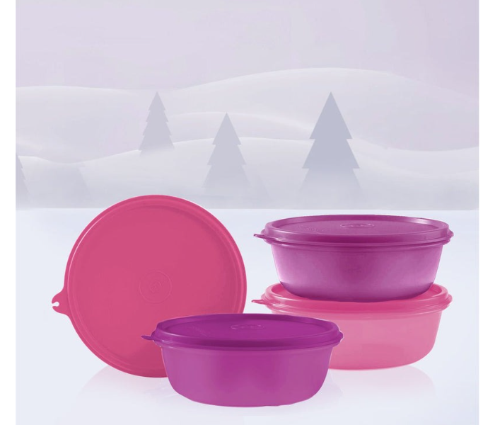 Tupperware SS Bowls (600 ml, Set of 2) Multi-colour - Airtight & Stackable Food Storage in UAE