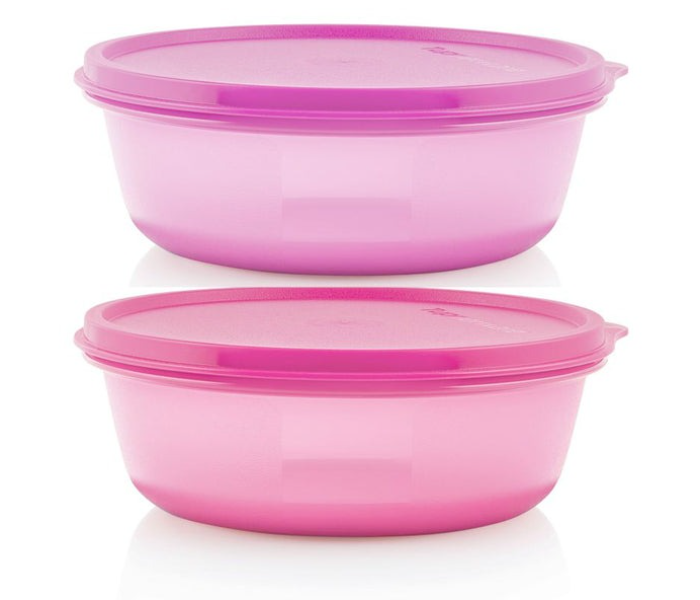 Tupperware SS Bowls (600 ml, Set of 2) Multi-colour - Airtight & Stackable Food Storage in UAE
