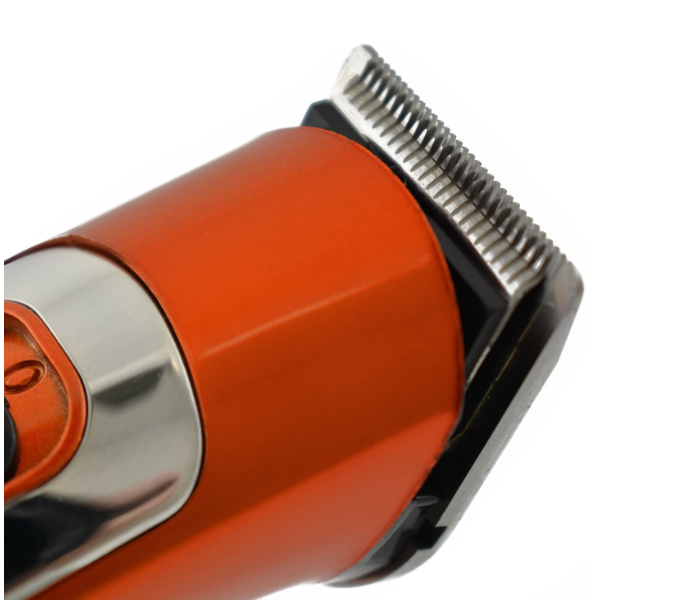 Dinglong RF-607 Professional Rechargeable Cordless Hair & Beard Trimmer in UAE