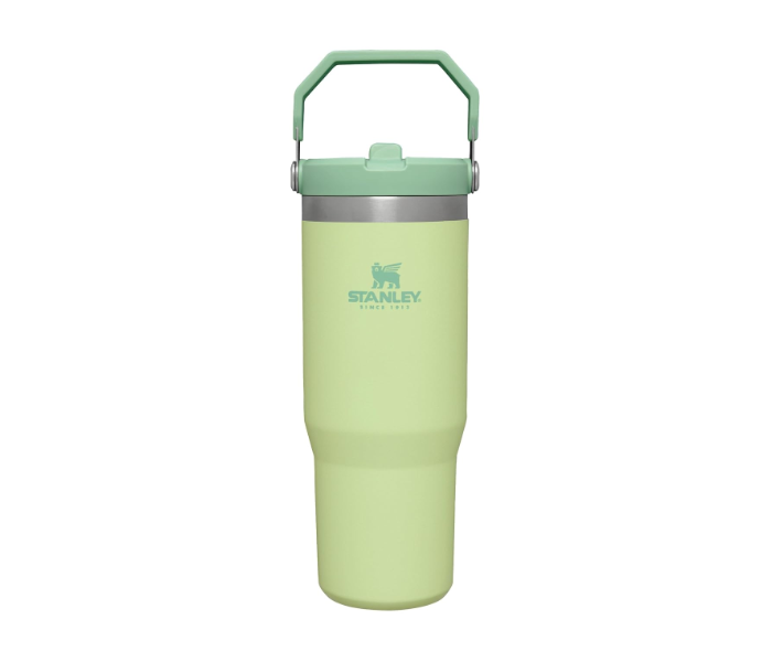 Stanley IceFlow Flip Straw Tumbler Citron Green in UAE