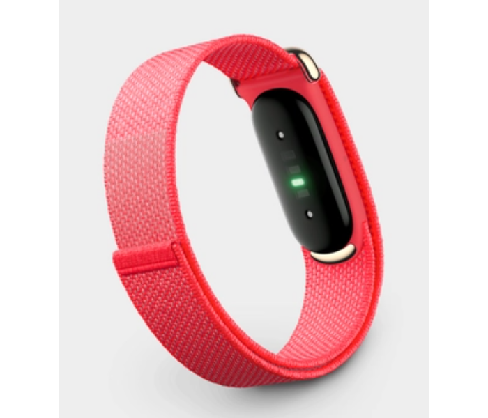 Google Fitbit Air Fitness Tracker-Berry in UAE