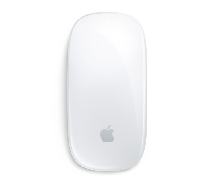Apple Magic Mouse USB C - White in UAE