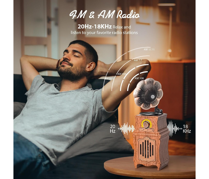 Retro Bluetooth Speaker with FM Radio, Bass, Retro Radio 5.3 Wireless Speaker Vintage Radios Support USB/TF/AUX Player for Home Office Room Outdoor Party, Portable Rechargeable in UAE