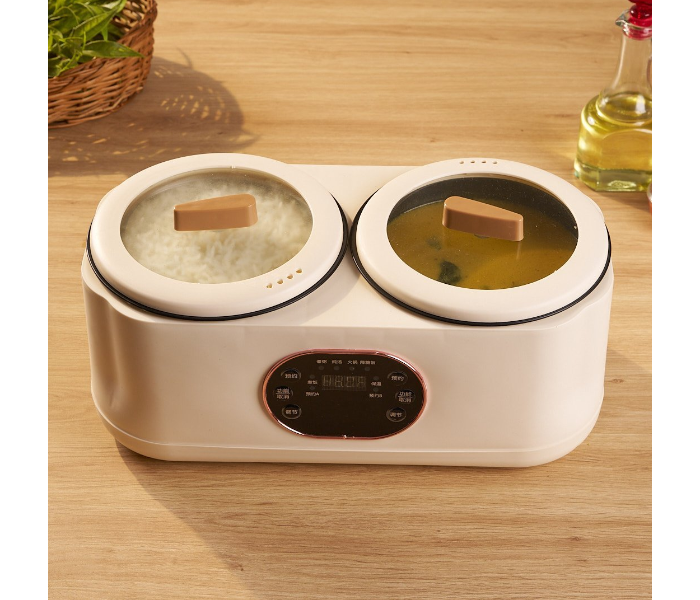RUAY Multi-Purpose Double-Liner Rice Cooker in UAE