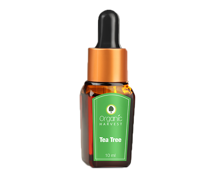 Organic Harvest 10ml Tea Tree Essential Oil - Zoom Image 3