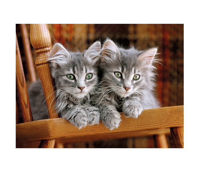 Clementoni 30545 High Quality Collection Kittens Adult Puzzle - 500 Pieces - Zoom Image 1